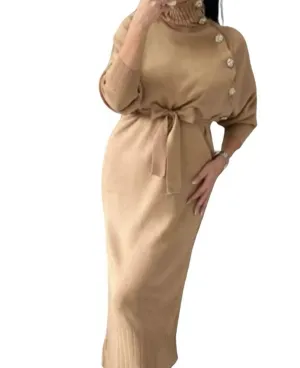 Cosy Knitted Seam Detail High Neck Dress B-39079