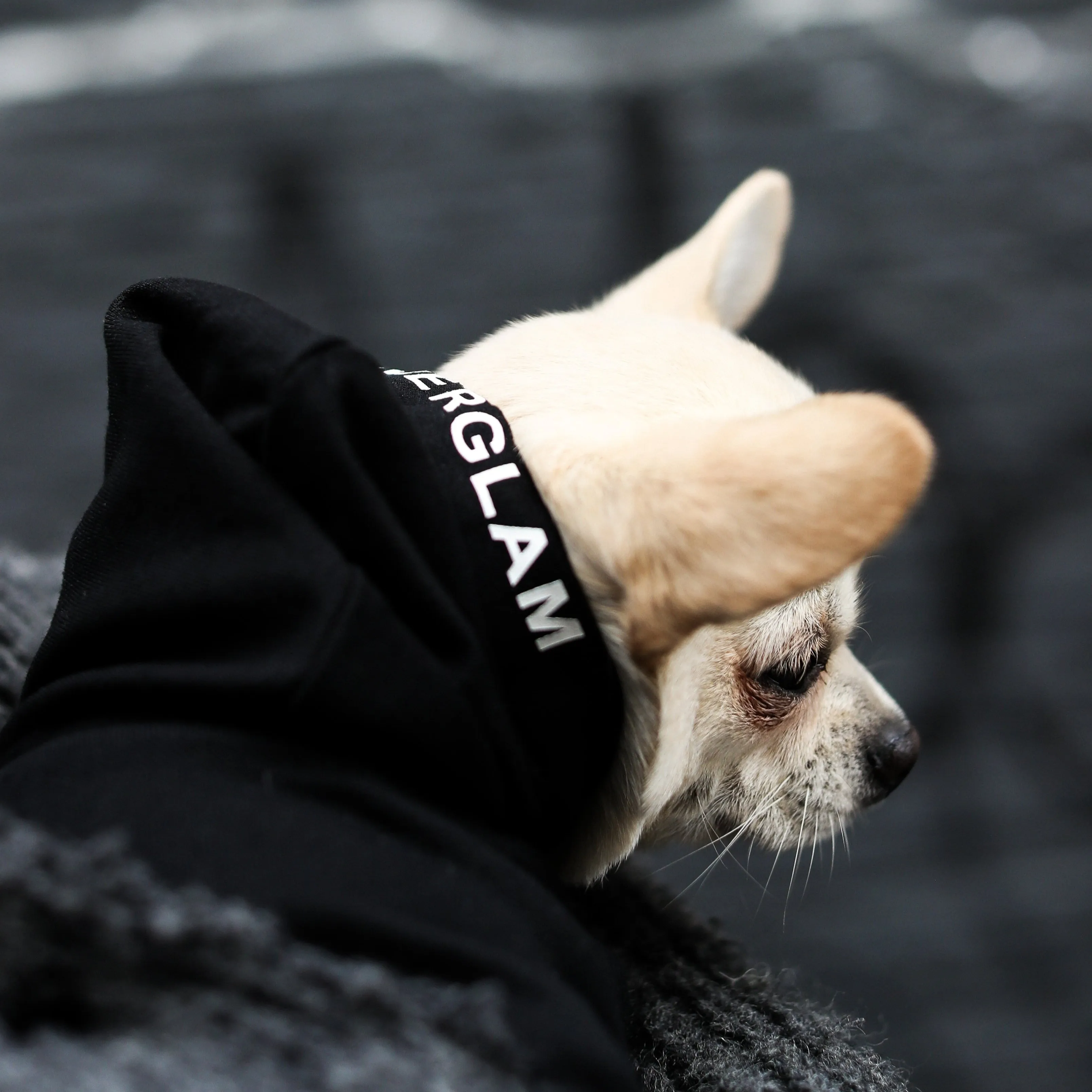 Hoodie with Overglam Print on Hood