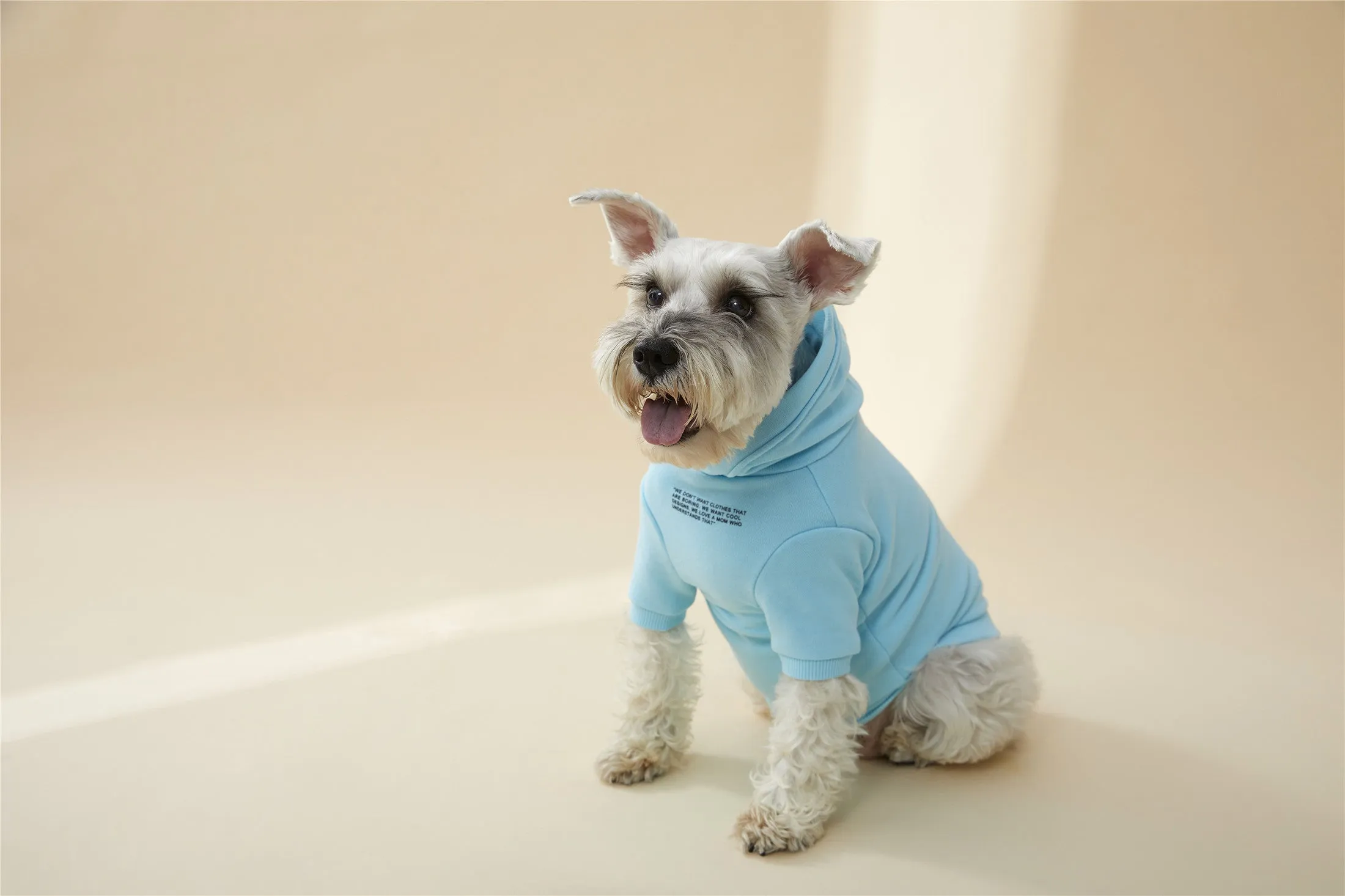 Hoodie with Slogan