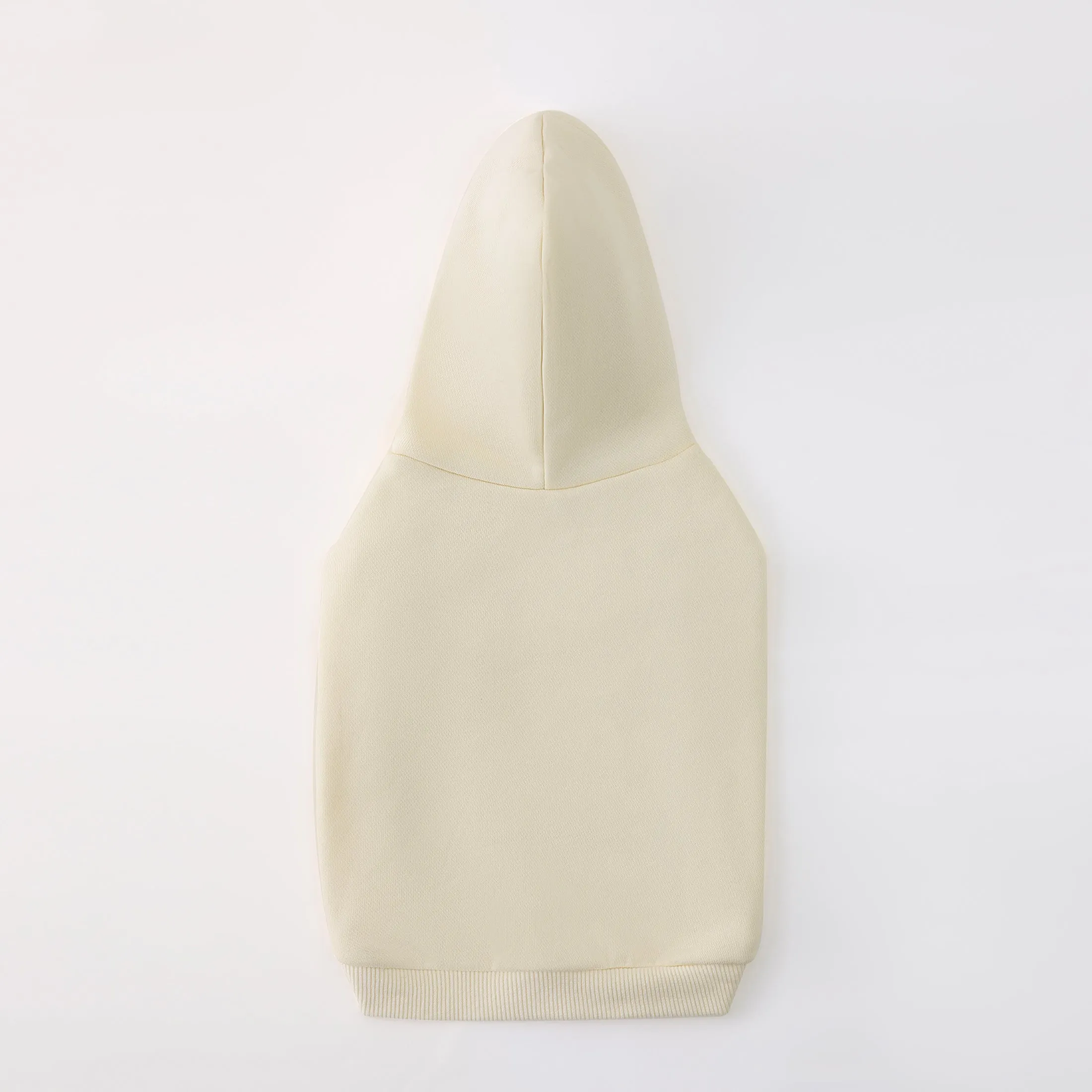Hoodie with Slogan