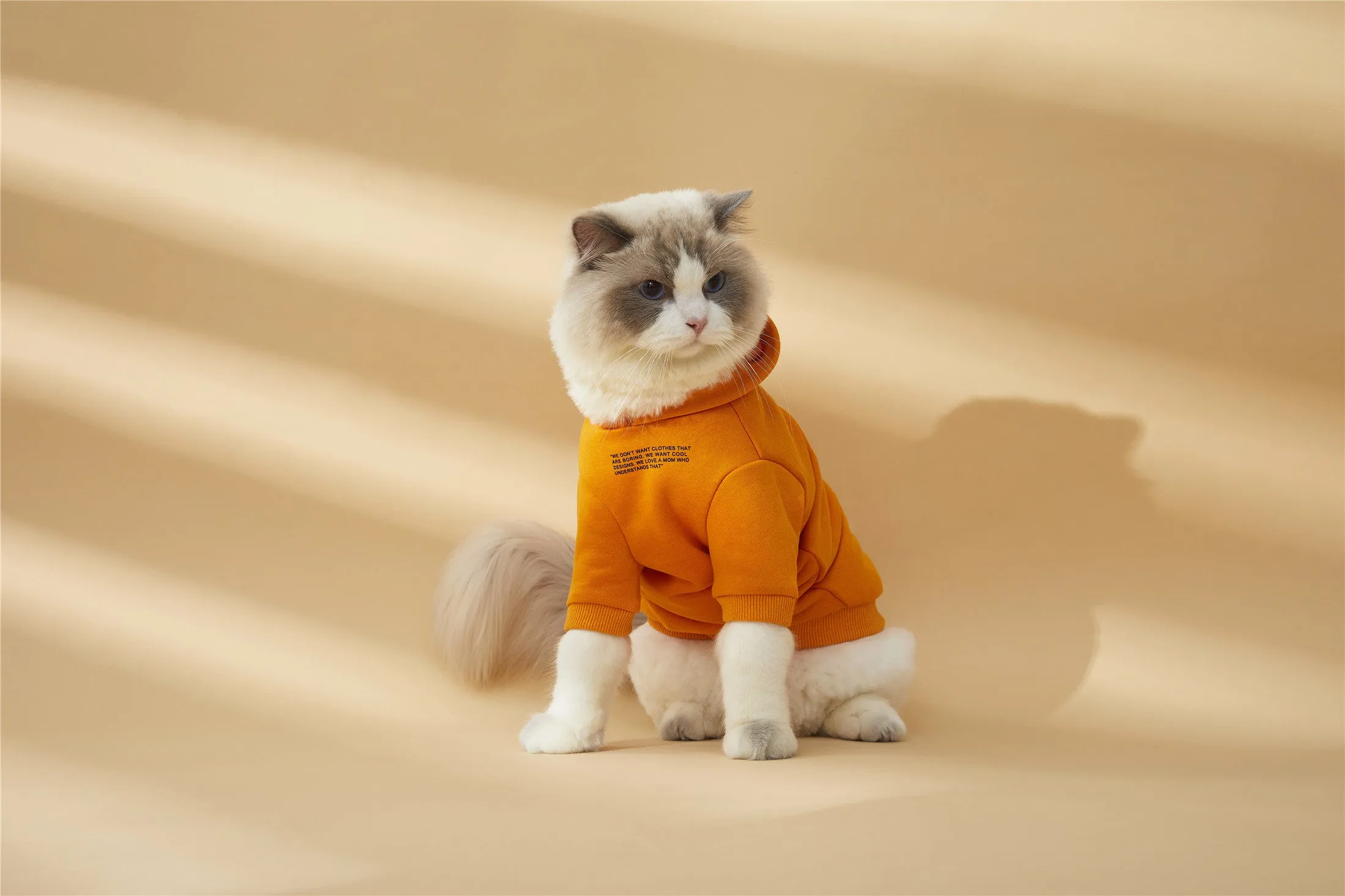 Hoodie with Slogan