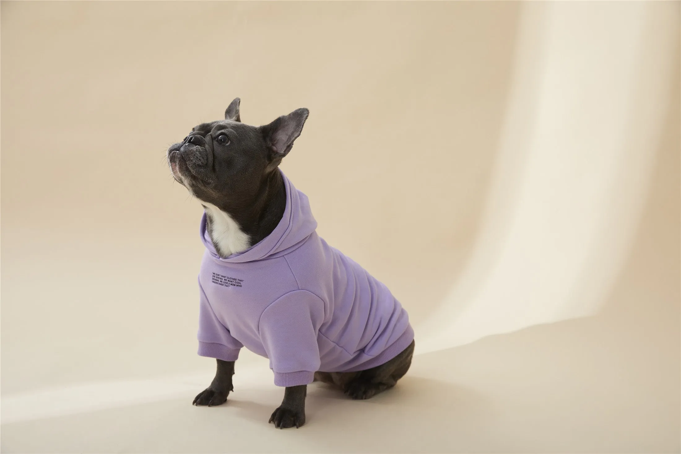 Hoodie with Slogan