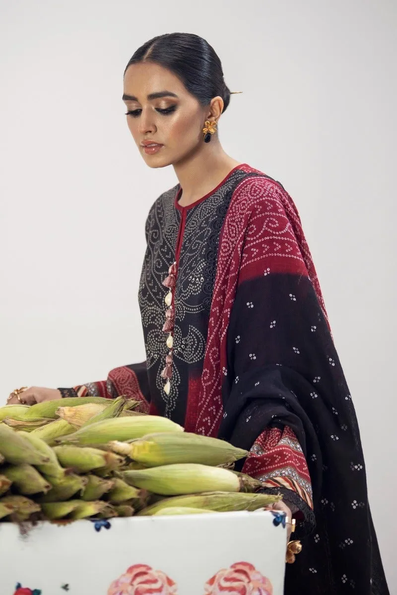 Sana Safinaz Mahay Winter Collection '21 – H212-010B-CG