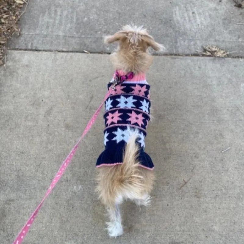 Star Turtleneck Sweater Dog Dress