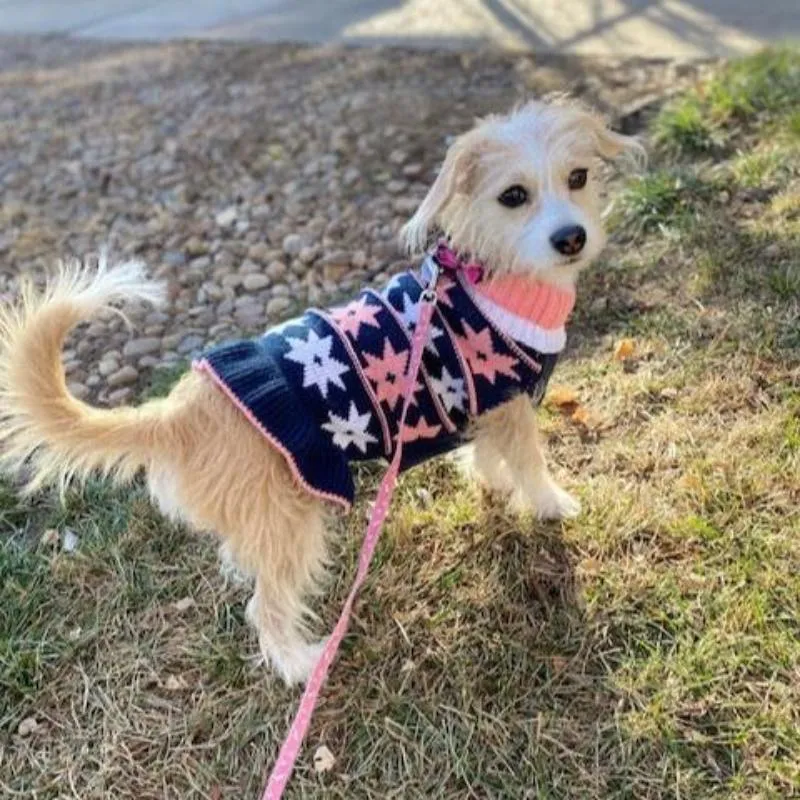 Star Turtleneck Sweater Dog Dress